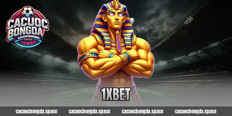 1xBet – Cược Bóng Đá Thông Minh Cho Thành Công 2026