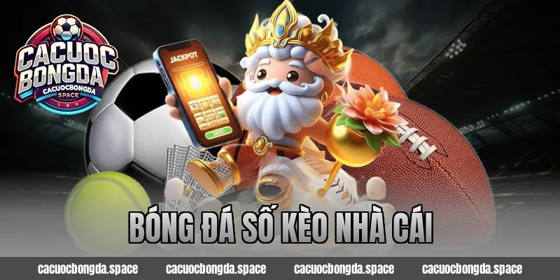 Bóng Đá Số Kèo Nhà Cái – Bí Kíp Đặt Đâu Trúng Đó Cực Dễ