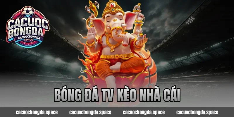 Bóng Đá TV Kèo Nhà Cái – Bí Quyết Soi Kèo Chuẩn Xác 2026