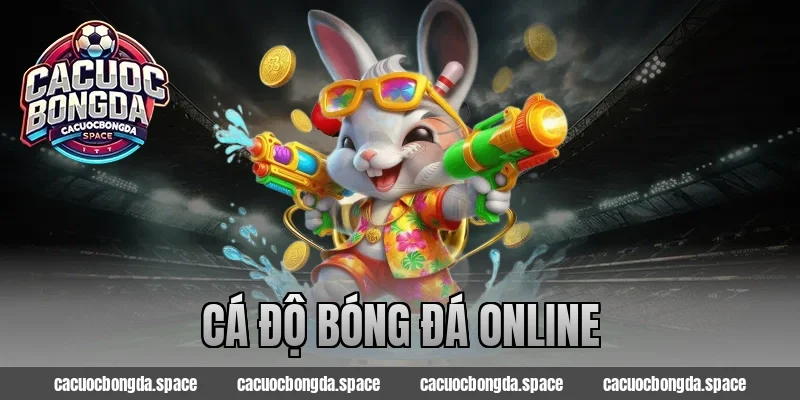 Cá Độ Bóng Đá Online – Tận Hưởng Trải Nghiệm Cá Cược Số 2025