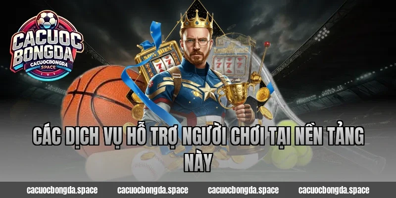 Các dịch vụ hỗ trợ người chơi tại nền tảng này