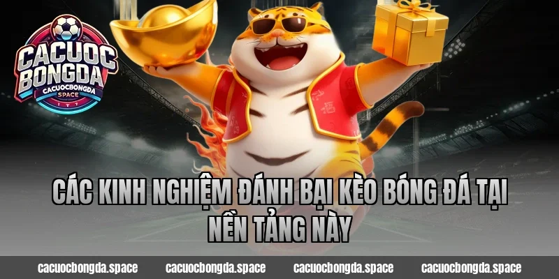 Các Kinh Nghiệm Đánh Bại Kèo Bóng Đá Tại Nền Tảng Này