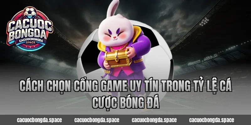 Cách chọn cổng game uy tín trong tỷ lệ cá cược bóng đá
