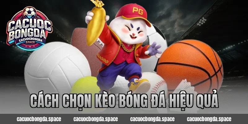 Cách chọn kèo bóng đá hiệu quả