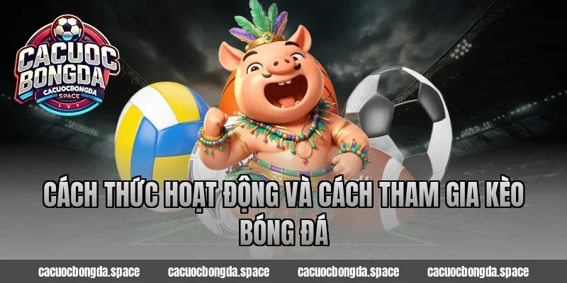 Cách Thức Hoạt Động Và Cách Tham Gia Kèo Bóng Đá
