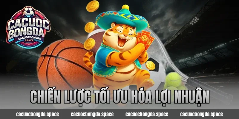 Chiến Lược Tối Ưu Hóa Lợi Nhuận