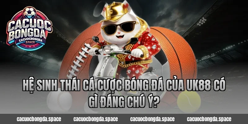 Hệ sinh thái cá cược bóng đá của UK88 có gì đáng chú ý?