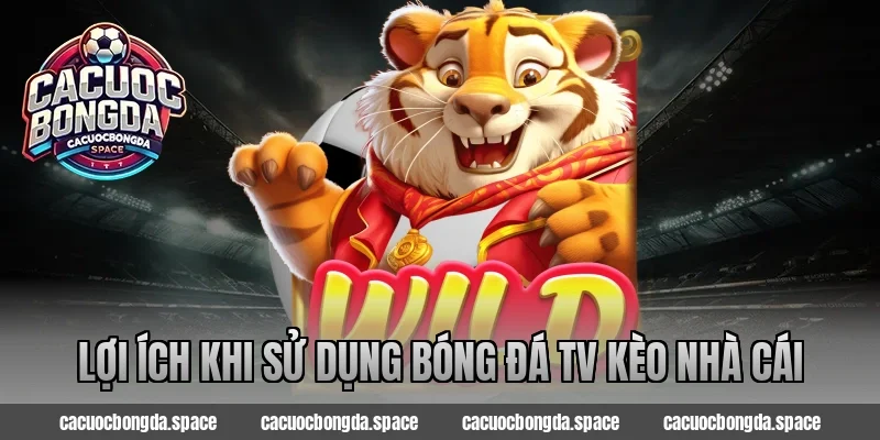 Lợi ích khi sử dụng bóng đá tv kèo nhà cái