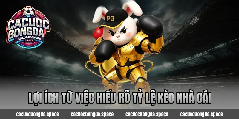 Lợi ích từ việc hiểu rõ tỷ lệ kèo nhà cái