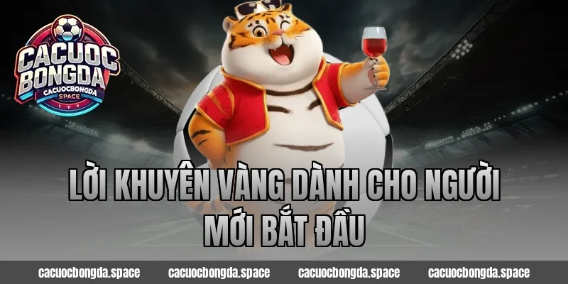 Lời Khuyên Vàng Dành Cho Người Mới Bắt Đầu