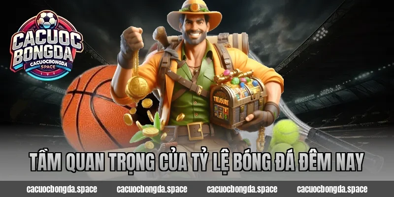 Tầm quan trọng của tỷ lệ bóng đá đêm nay