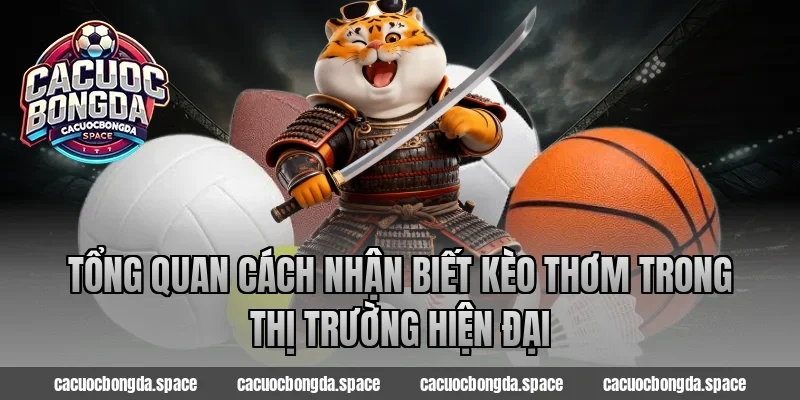 Tổng quan cách nhận biết kèo thơm trong thị trường hiện đại
