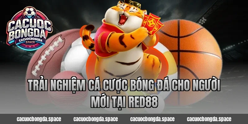 Trải nghiệm cá cược bóng đá cho người mới tại Red88