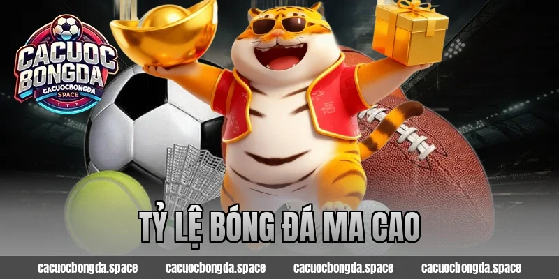 Phân Tích Tỷ Lệ Bóng Đá Ma Cao – Đánh Đâu Thắng Đó Cực Dễ