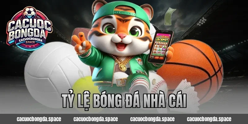 Phân Tích Tỷ Lệ Bóng Đá Nhà Cái – Tăng Cơ Hội Thắng Mọi Kèo