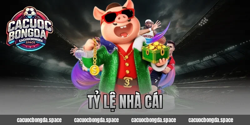 Tỷ Lệ Nhà Cái Hôm Nay – Cập Nhật Siêu Sớm, Bắt Kèo Chuẩn